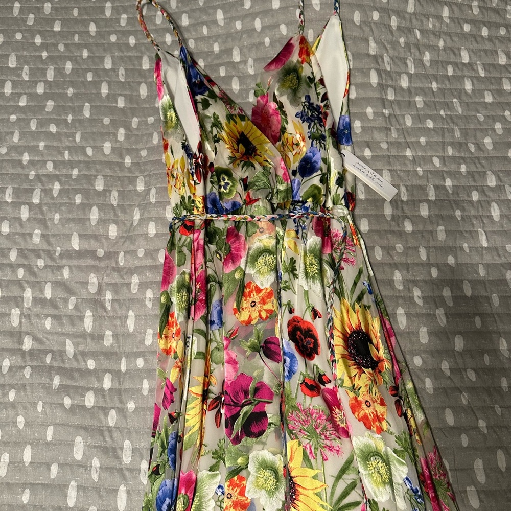 Alice and Olivia Floral Multicolor Dress